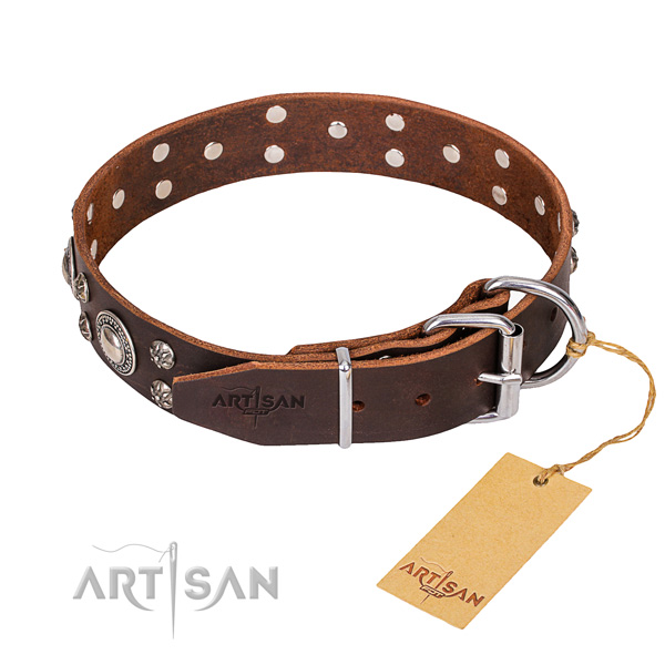 Awesome leather collar for your noble pet