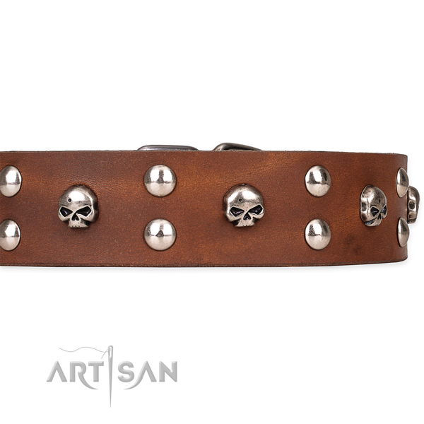 Genuine leather dog collar with smoothly polished exterior