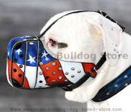 Muzzle for American Bulldog and English Bulldog – CollarDirect