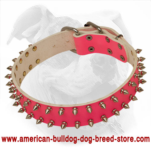 pink spiked dog collar