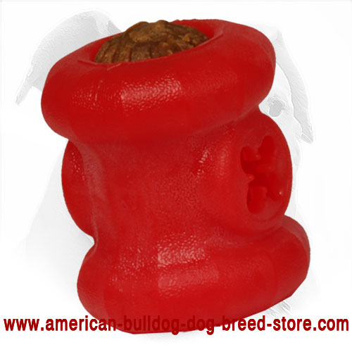 https://www.american-bulldog-dog-breed-store.com/images/large/American-Bulldog-Toy-Made-of-Foam-TT28_LRG.jpg