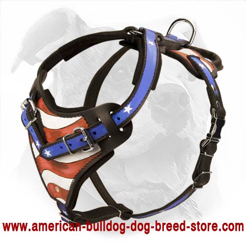 Leather 2024 agitation harness