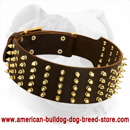 Wide spiked 2025 dog collars