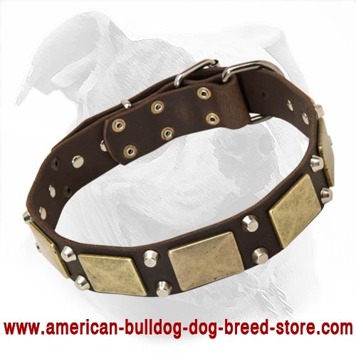 Big collar-Studs and Spikes leather dog collar for Large breeds