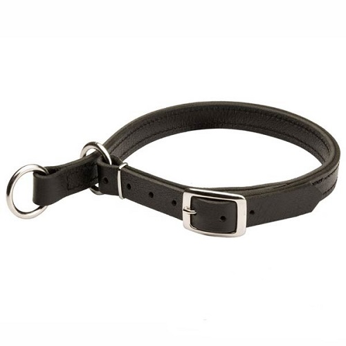 Obedience collars store