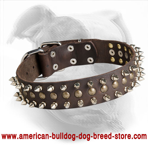 are you a good match for the american bulldog