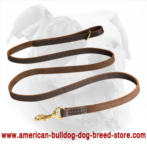 Leather hot sale leash store