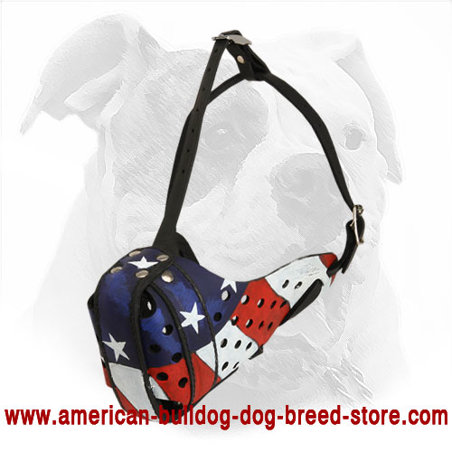 https://www.american-bulldog-dog-breed-store.com/images/muzzles/Painted-Leather-Dog-Muzzle-for-American-Bulldog-Training-M77AP-big.jpg